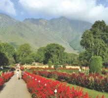 Nishat Garden